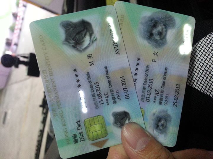 寵物身份證